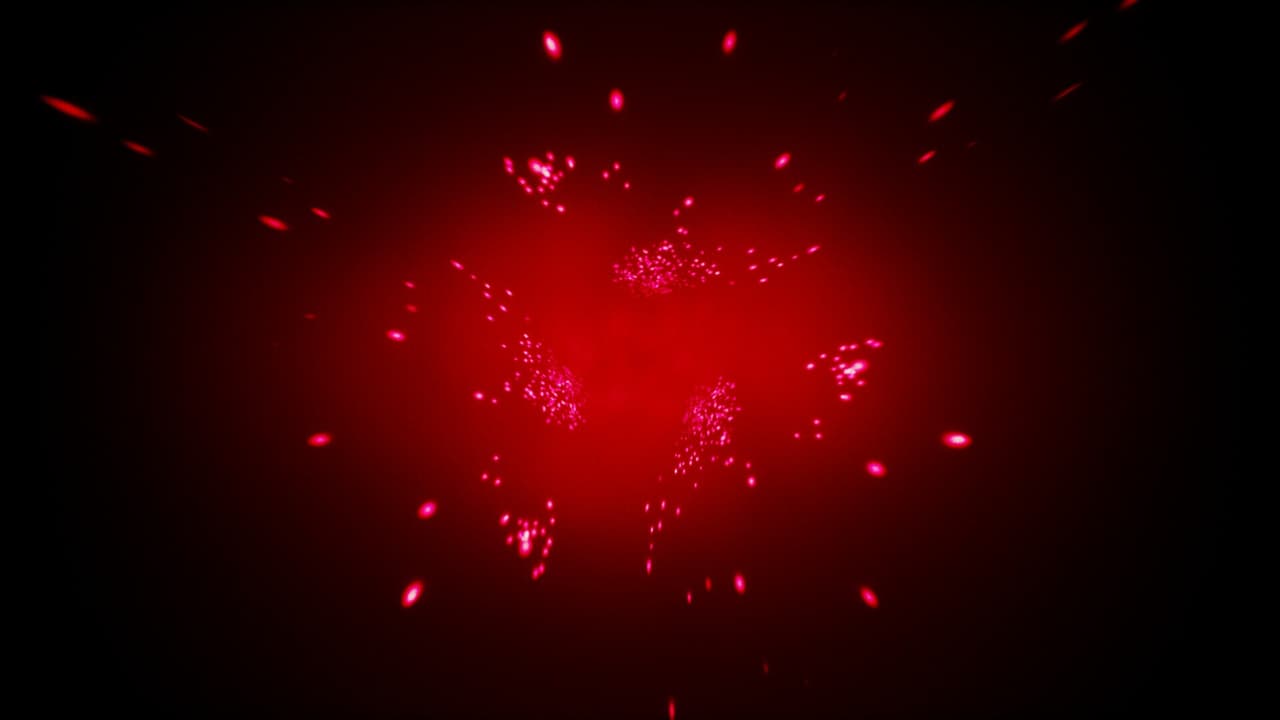 Oboi screenshot 4