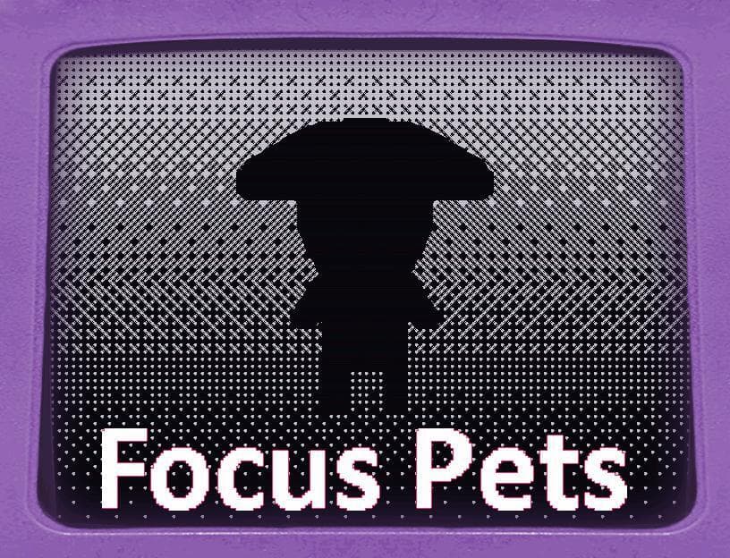 Focus Pets