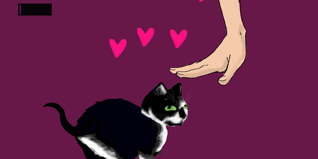 Bug Petter screenshot 3
