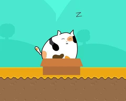 Catabox