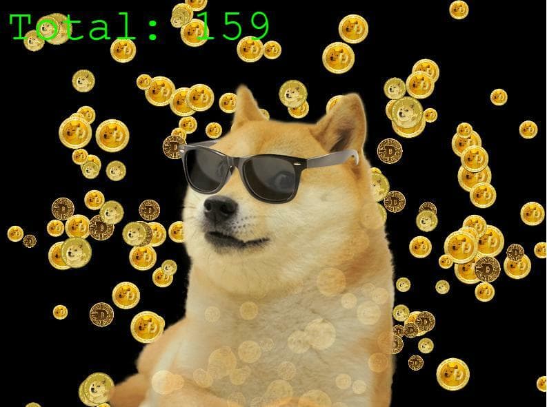 How many Doges can you hold?
