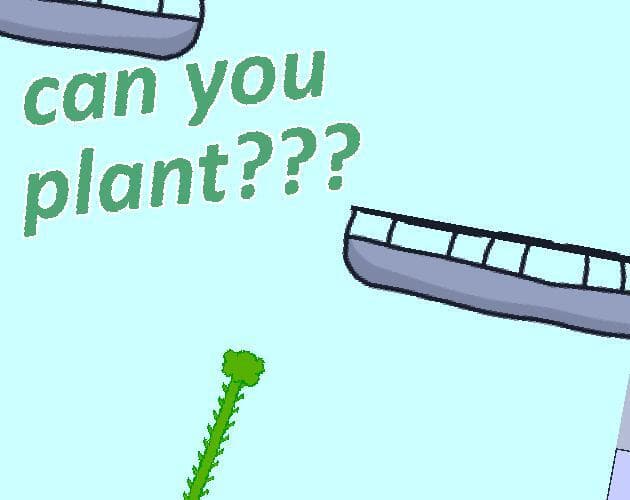 can you plant????