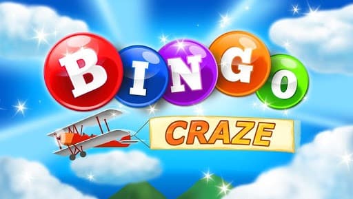Bingo Craze screenshot 2