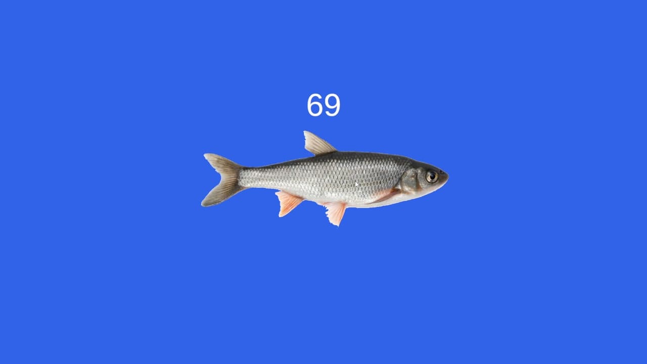 Fish screenshot 5