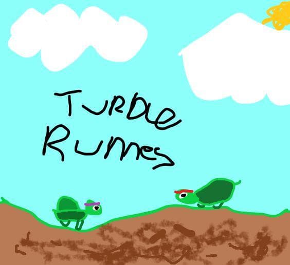 turtle runners