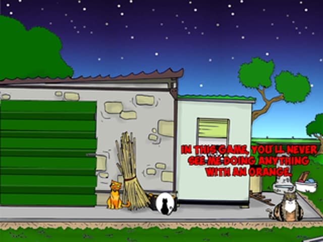 A Cats Night