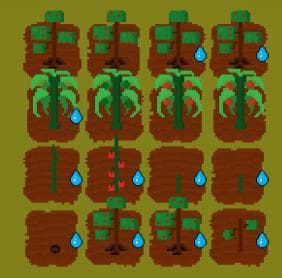 Mini Tomato Farm