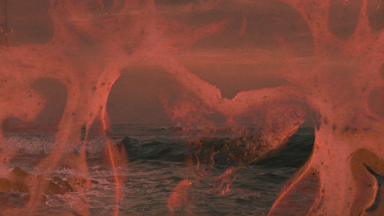 Necrosis of the Passing Sun