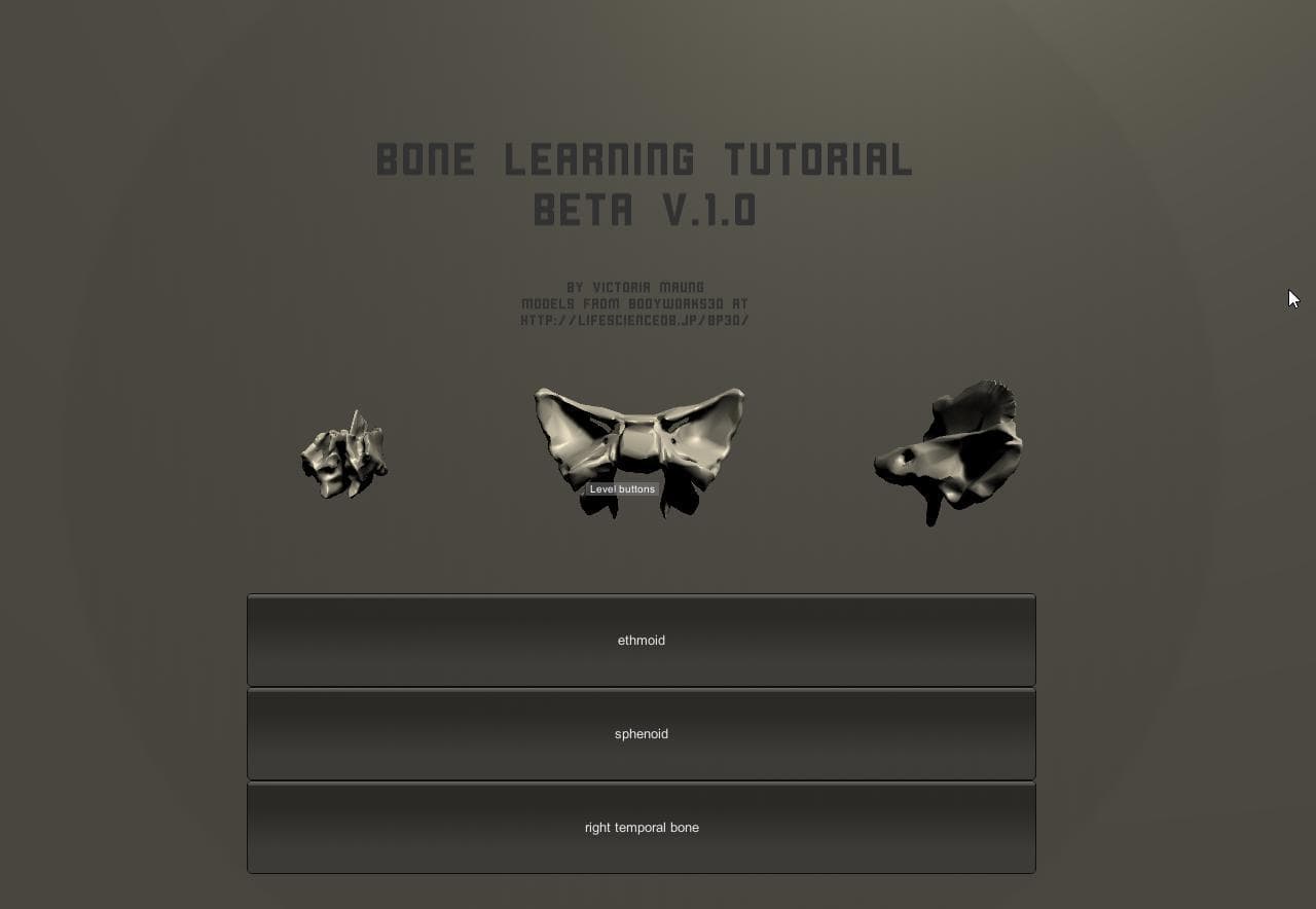 Bone Learning Tutorial
