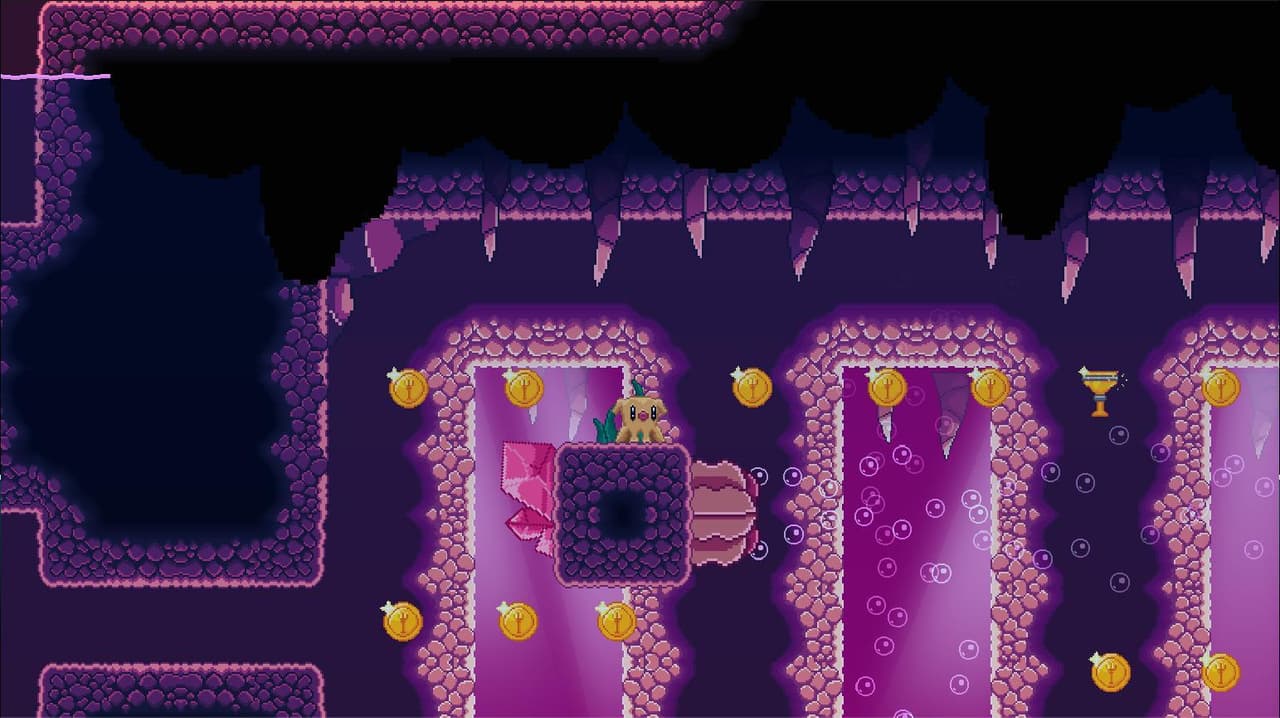 Ocean Project screenshot 3