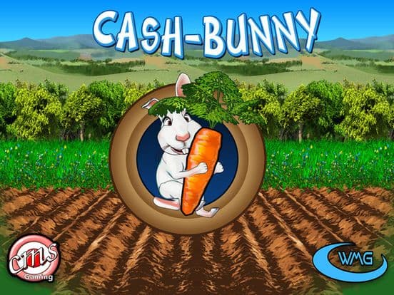 Cash Bunny