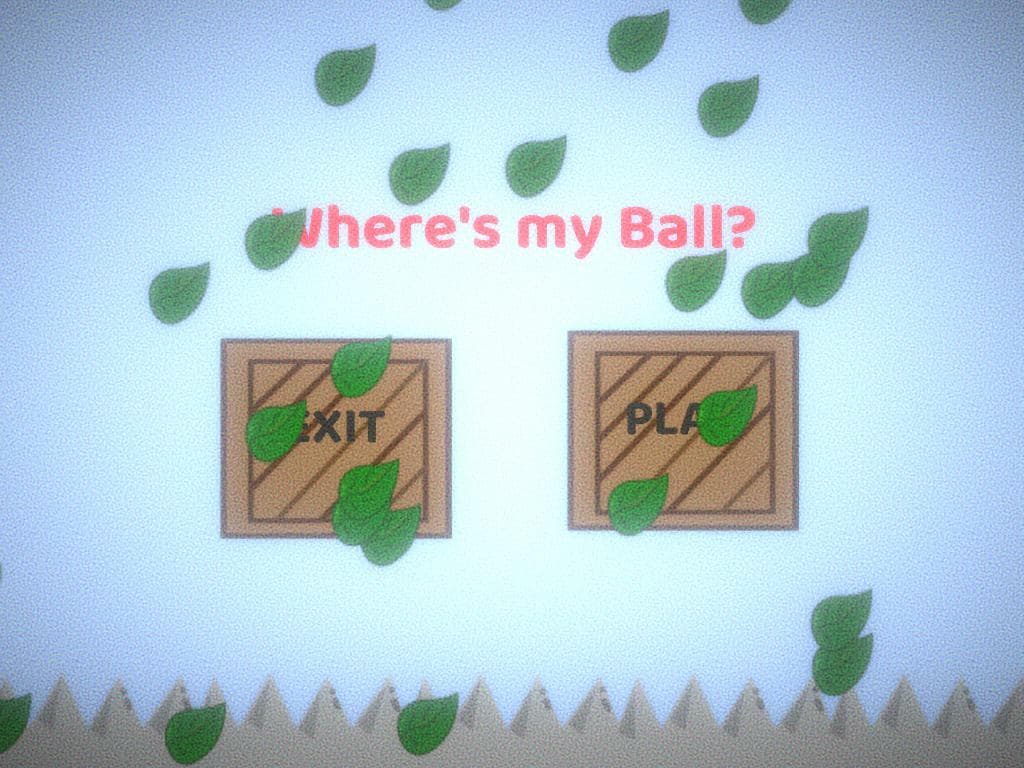 Wheres my Ball? (MyratKurbanow)