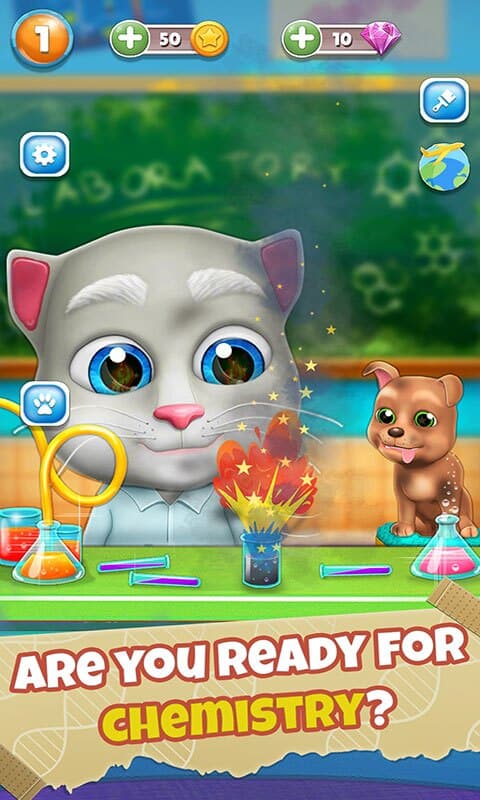 My Talking Bob Cat screenshot 3