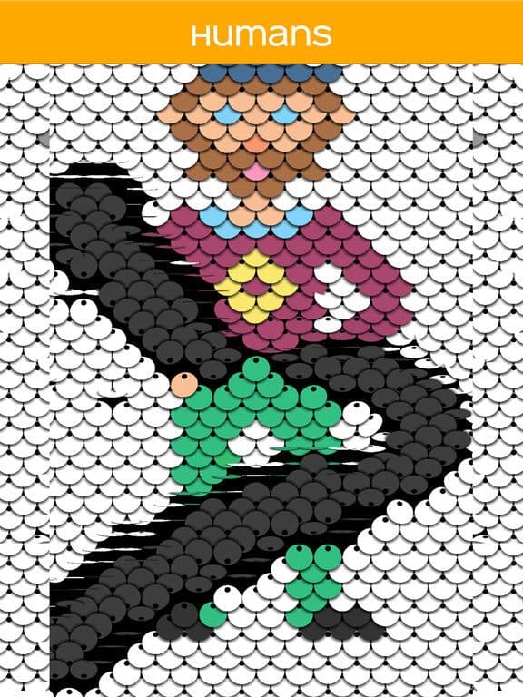 Sequin - Colors by Number