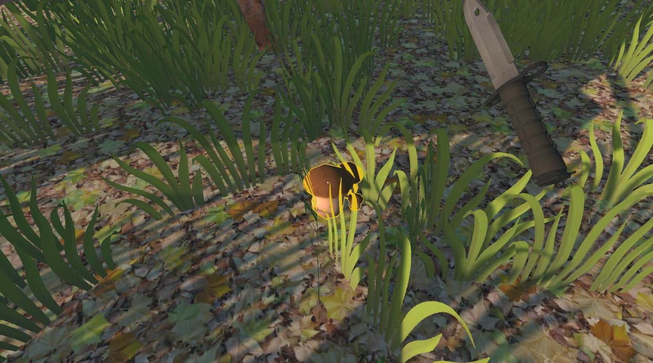Find Mushroom screenshot 2
