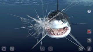 Talking Great White: My Pet Shark PRO