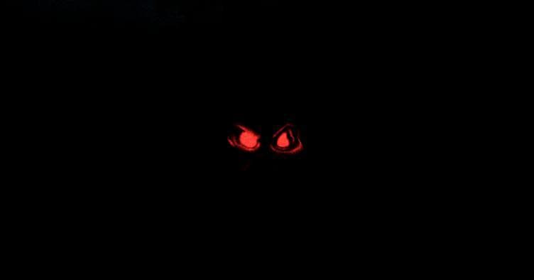Hallway Haunt screenshot 2