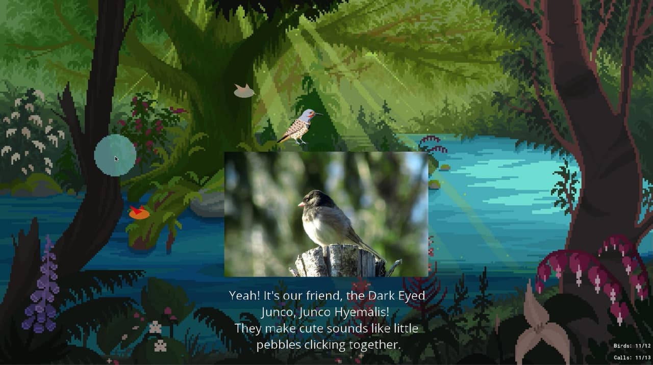 Birding PNW (beta) screenshot 5