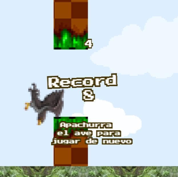 Zopilote Bird