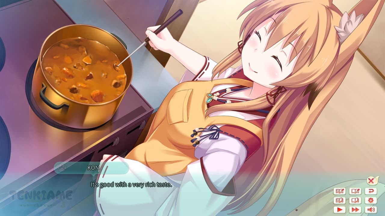 Tenkiame / 天気雨