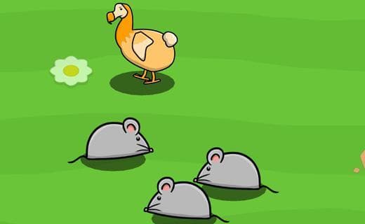 Dodo A Gogo
