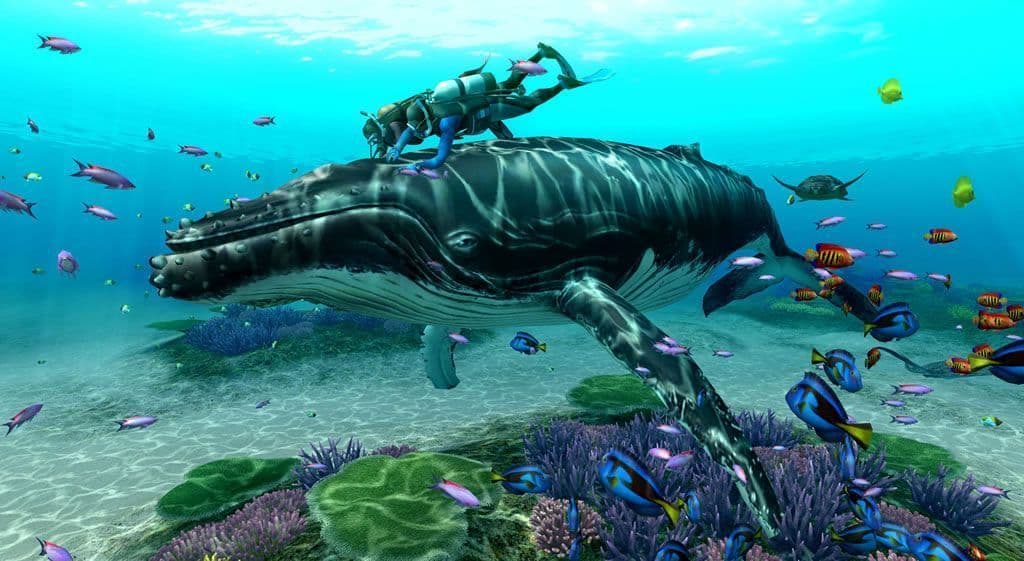 Endless Ocean: Blue World screenshot 3