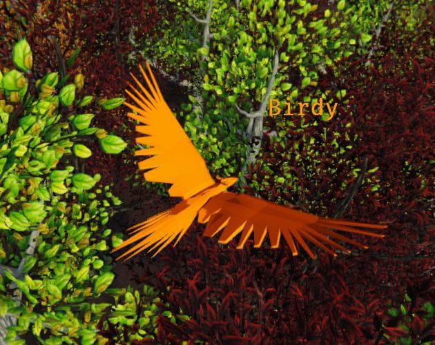 Birdy and the birds