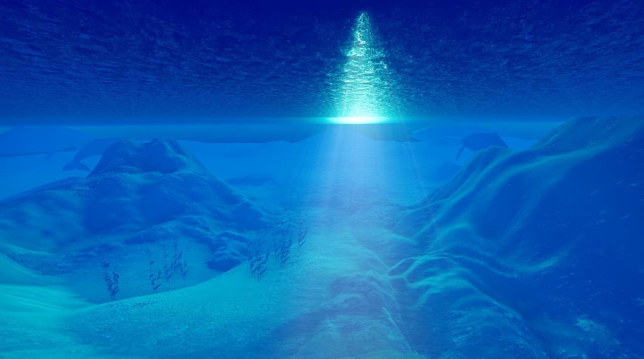 Marine Life screenshot 4