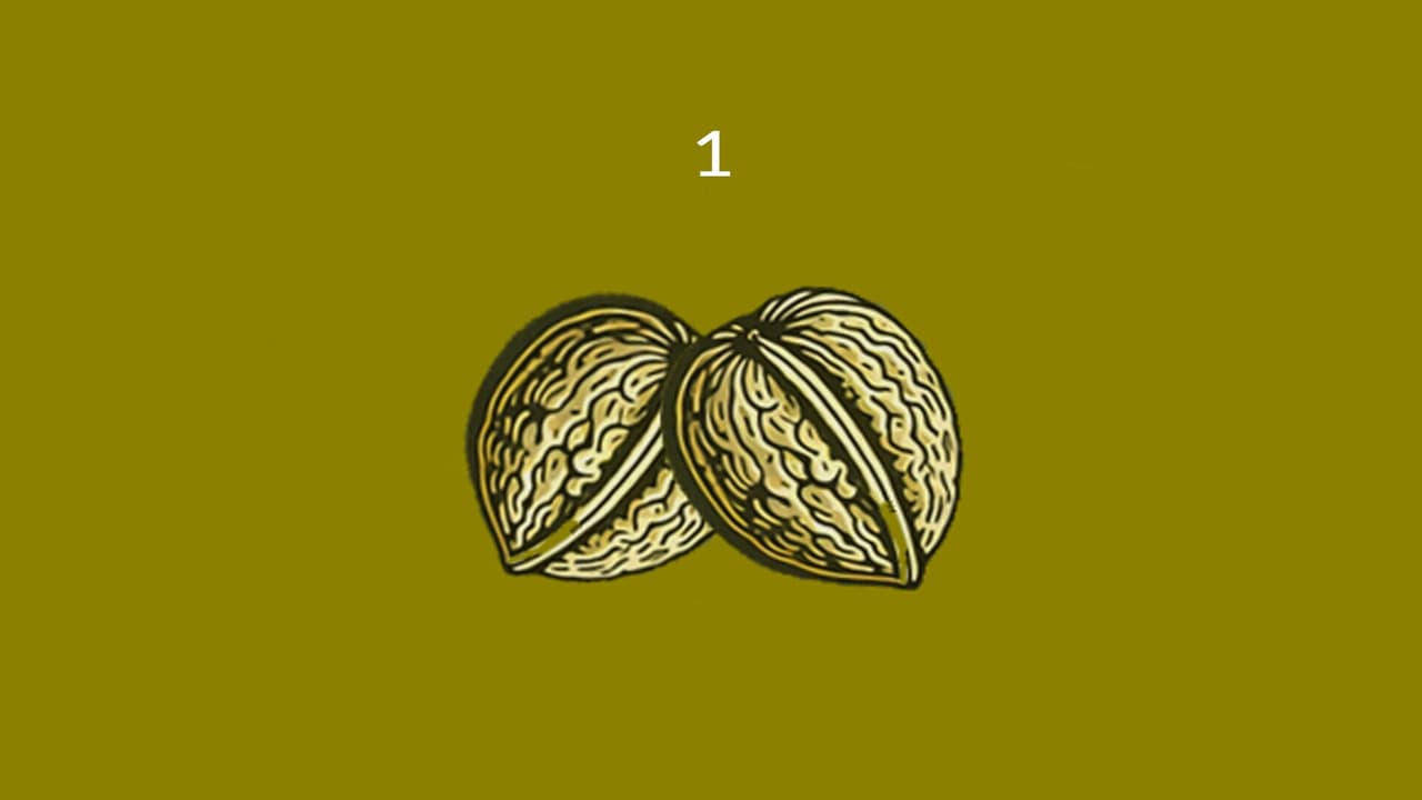 Nuts screenshot 3