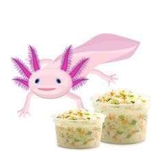 Untitled Axolotl Coleslaw Game