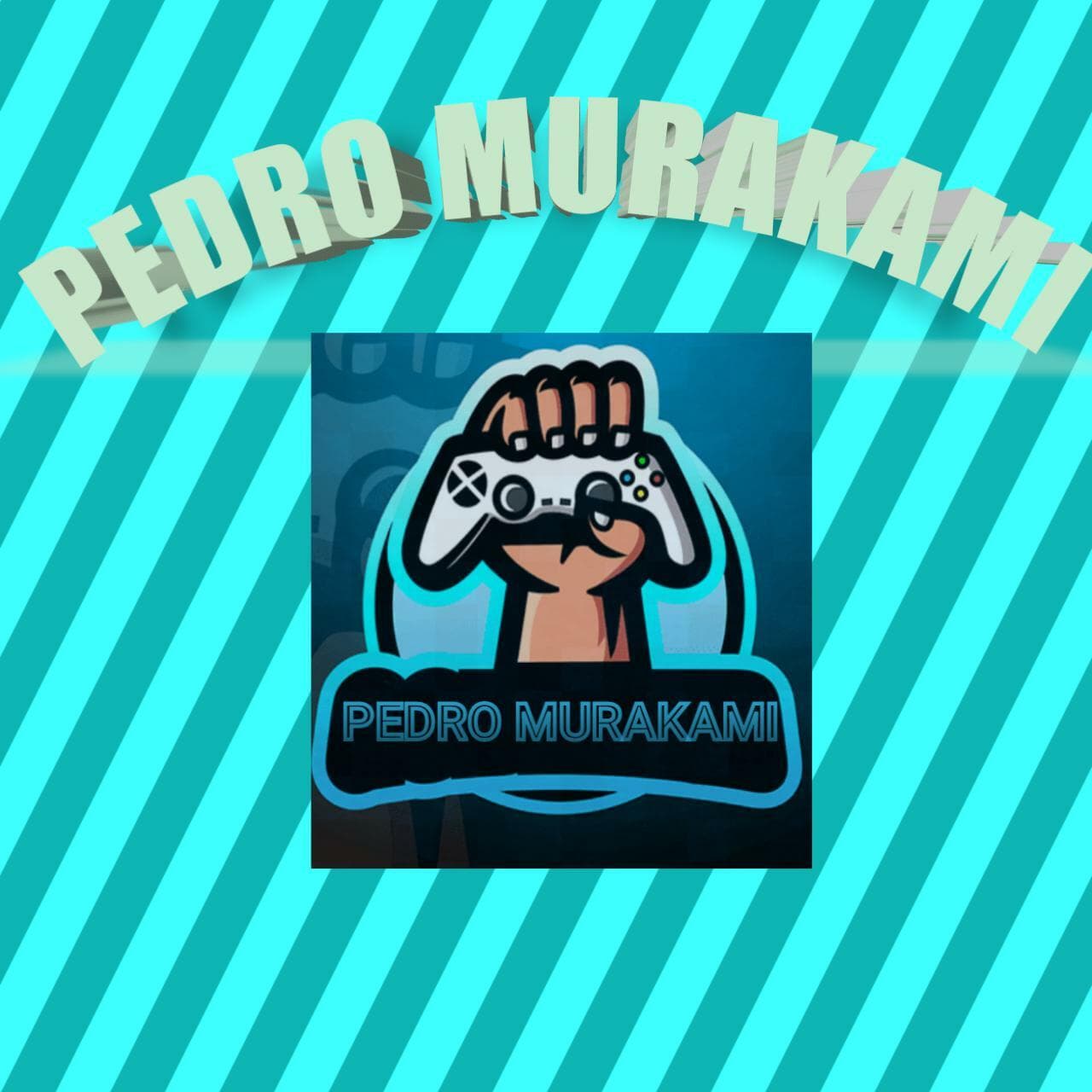 Operação Policial