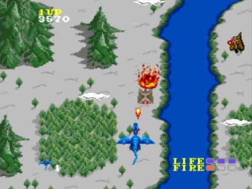 Dragon Spirit screenshot 3