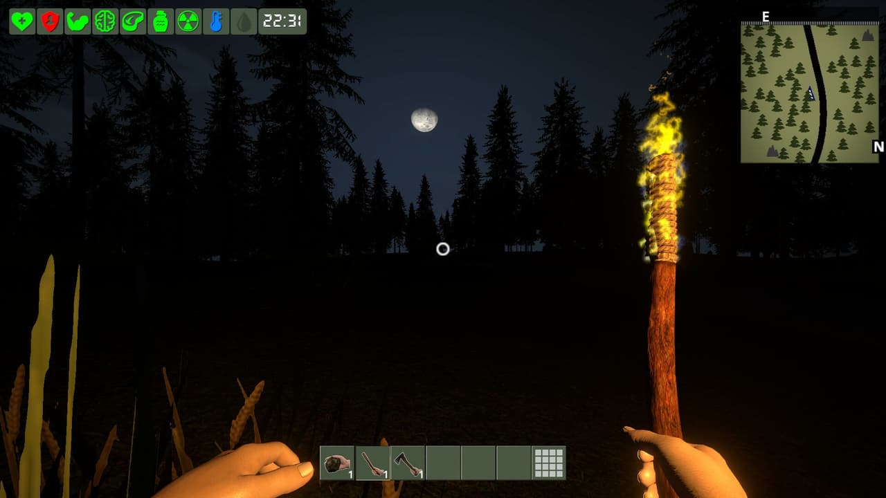 The Survivor screenshot 3