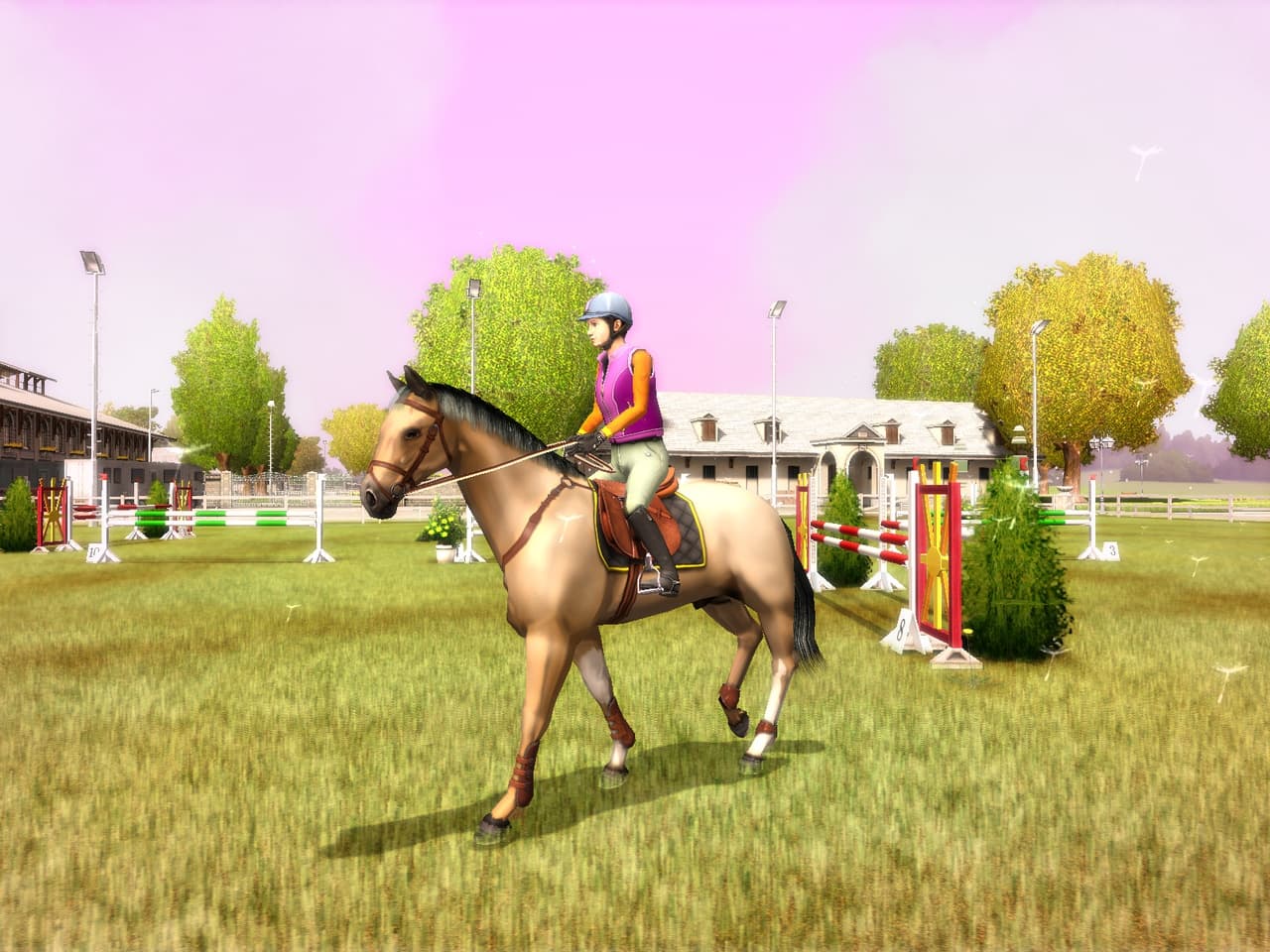 My Horse and Me screenshot 3