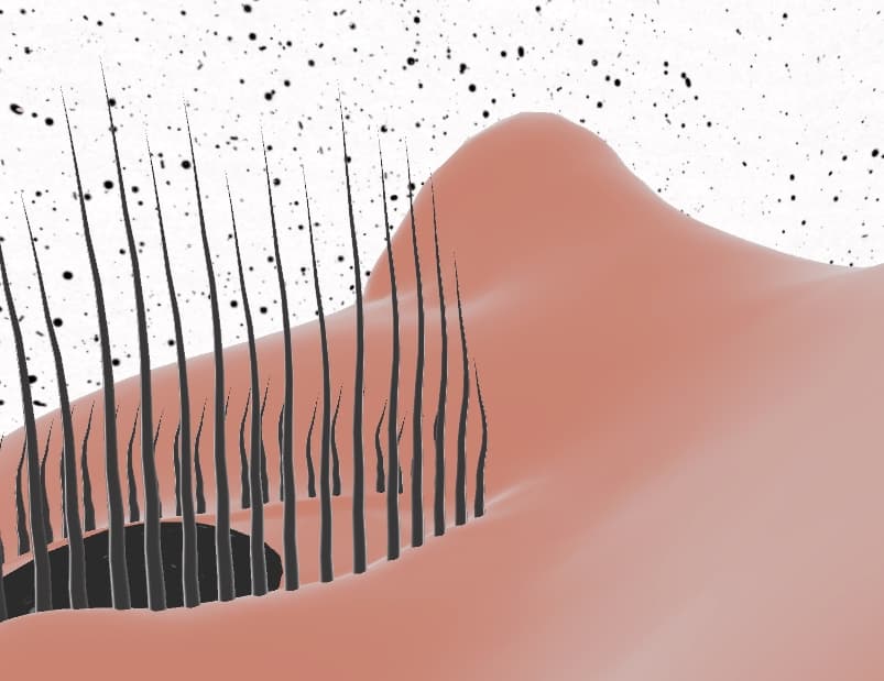 the Surface screenshot 2