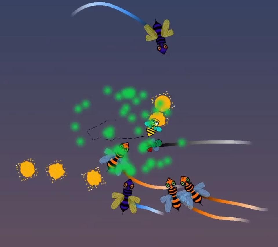 Buzz Bomber