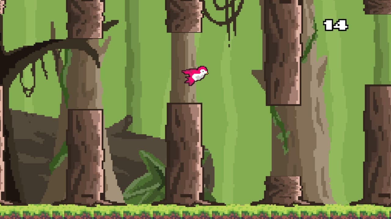 Birdy Tour screenshot 4