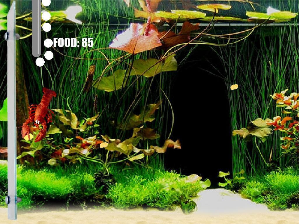 Aquarium Life screenshot 3