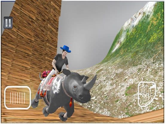 Rhino Riding Simulator