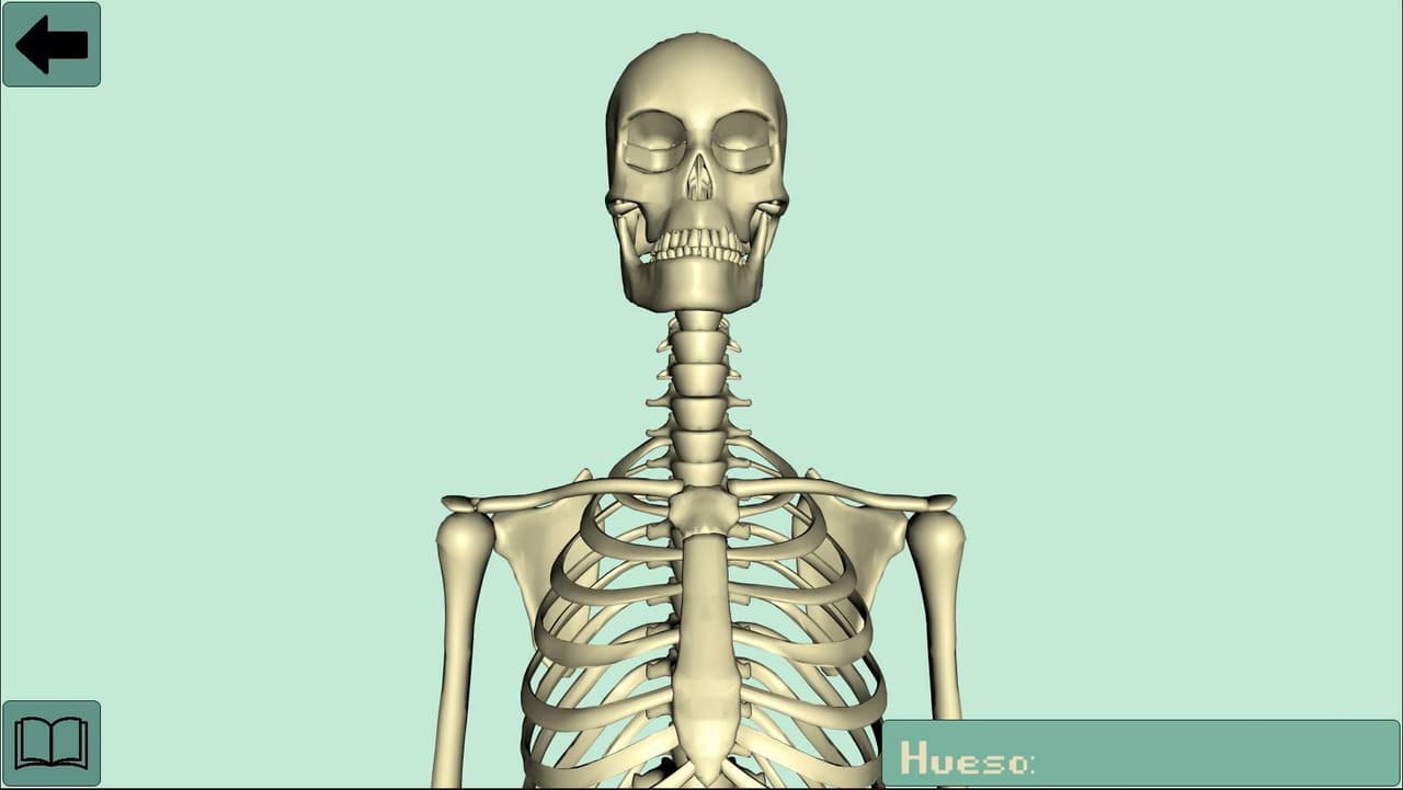Anatomy study screenshot 2