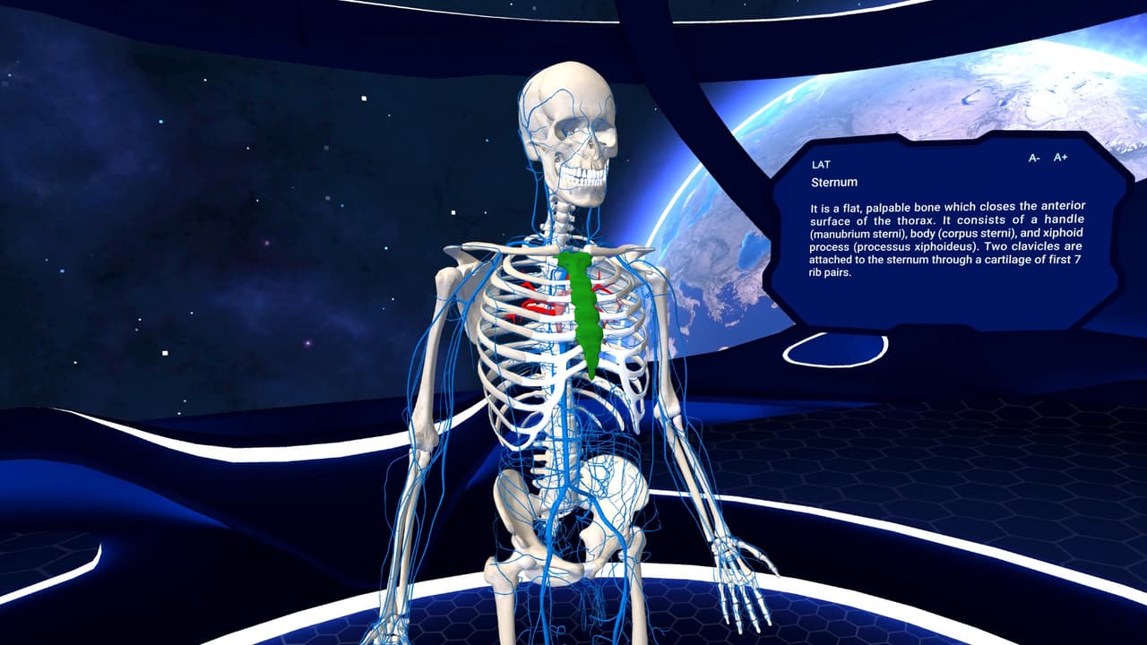 Human Anatomy VR screenshot 5