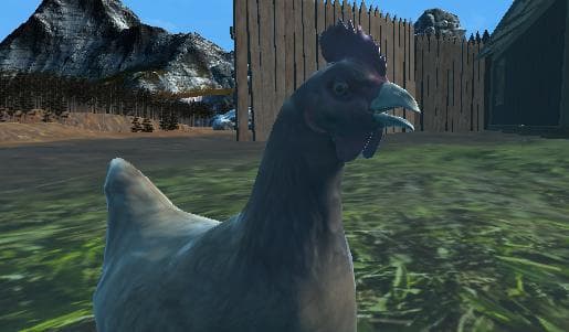 All those Chickens