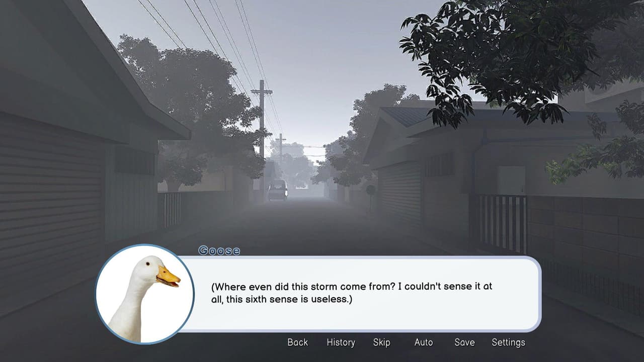 Honk! A Story About a Goose.