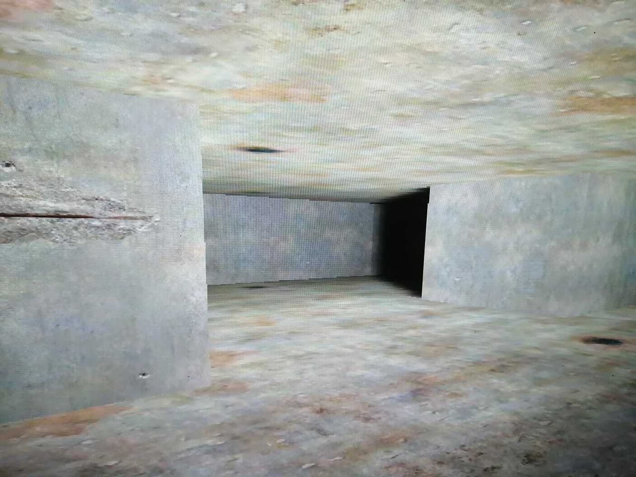 Locked in a Bunker