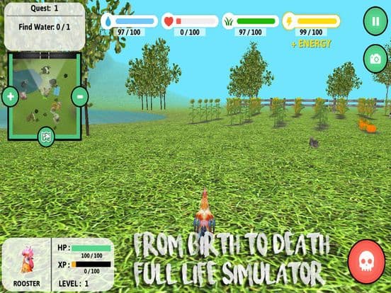 Rooster Simulator screenshot 2
