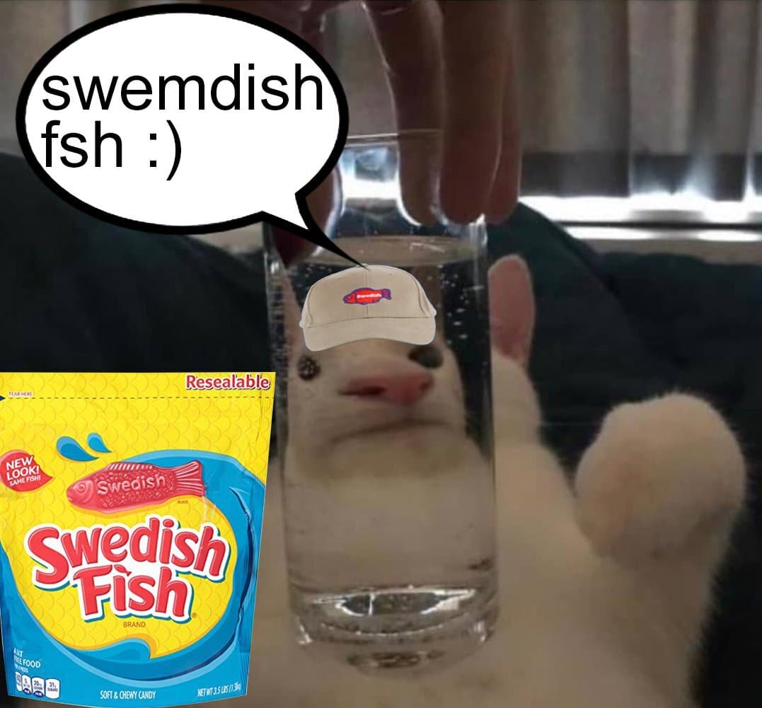 cats with snacks and a car screenshot 5