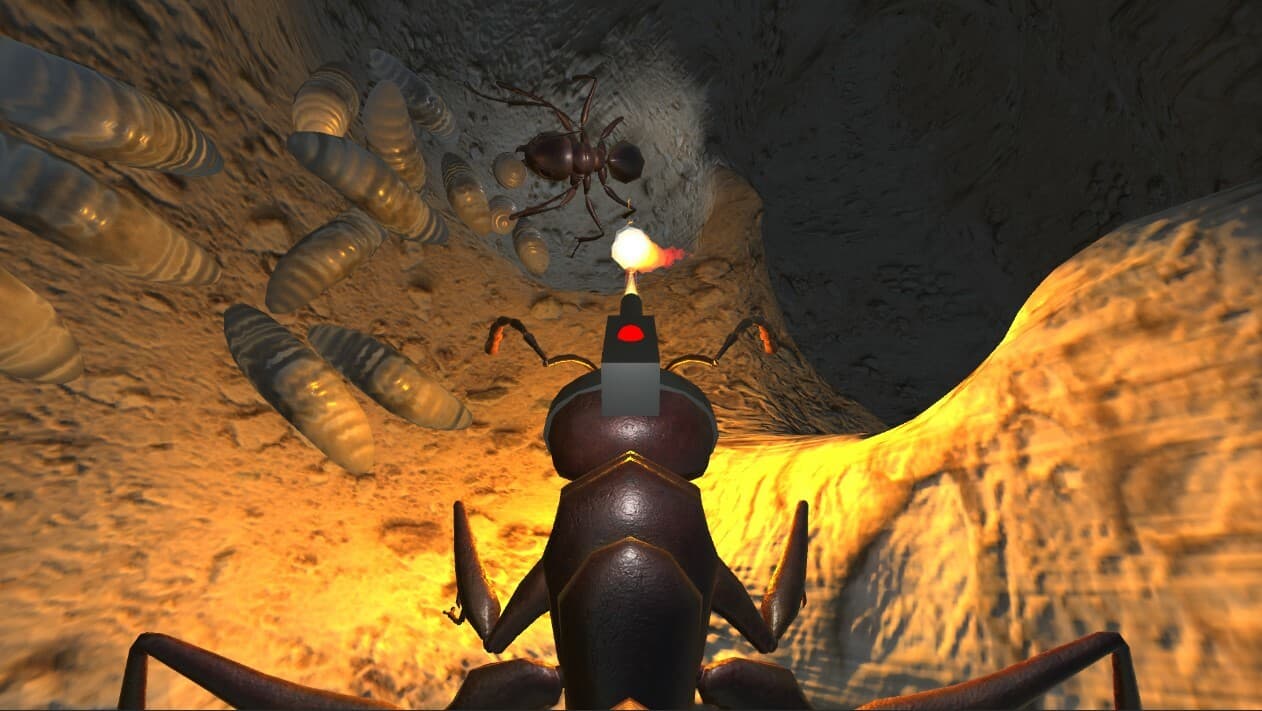 Ant Farm Assassin screenshot 4