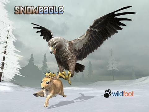 Snow Eagle