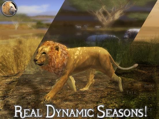 Ultimate Lion Simulator 2 screenshot 5