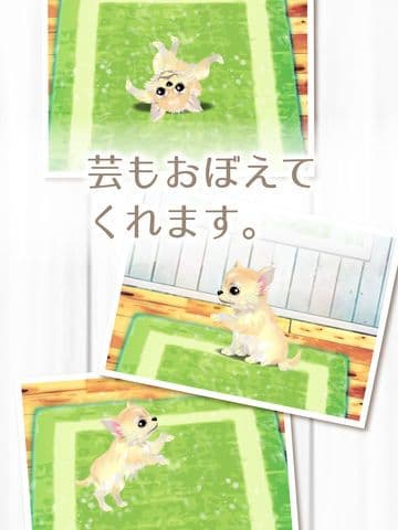 My Dog Life -Chihuahua Edition screenshot 4